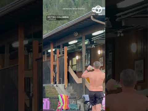 Bear sighting shocks guests at resort