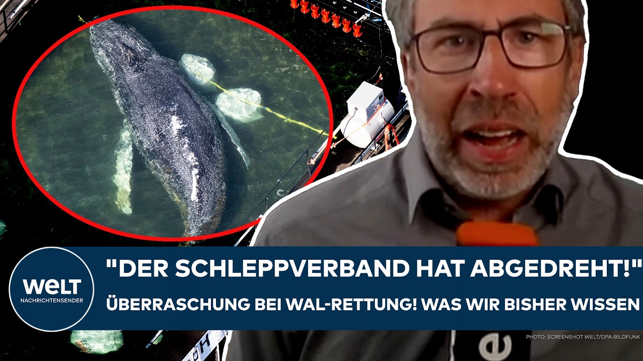 TIMMY: "Der Schleppverband hat abgedreht!" Überraschung bei Buckelwal-Rettung! Was wir bisher wissen