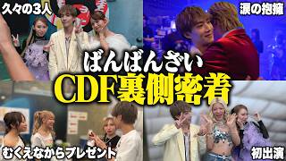 動画サムネイル