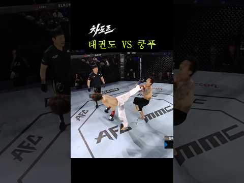 대한민국 태권도 vs 중국 무술 쿵푸 ㄷㄷ