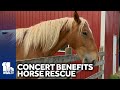 Bluegrass concert celebrates horse rescues new healing barn