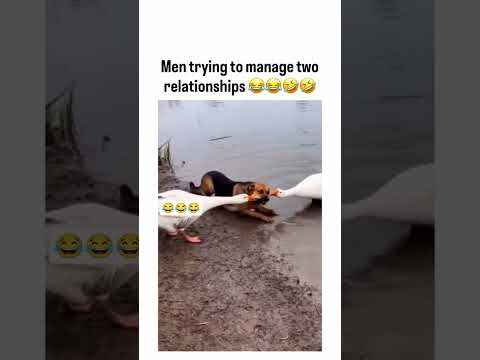 Men trying to manage double relationship.. 😂😂😂🤣🤪