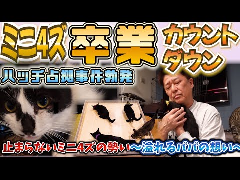 止まらぬミニ４ズのパワー炸裂！卒園カウントダウン開始！