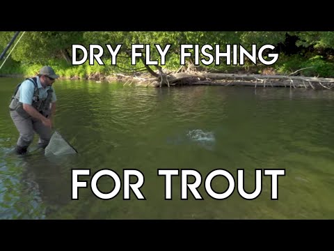 Dry Fly Fishing for Trout Tips
