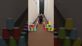 動画サムネイル
