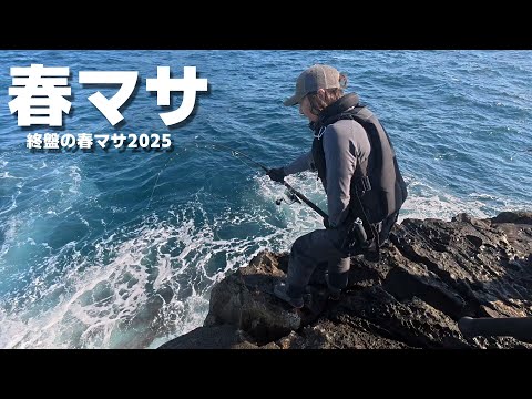終盤の春マサ 【今年はヤバい】
