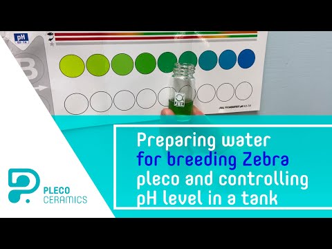 Preparing water for breeding Zebra pleco and contr Water parameters we stick to for breeding L046, controlling the pH level in your tanks without addin