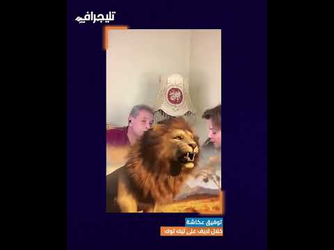 إيه ده يا حياة🤣.. رد فعل غريب من توفيق عكاشة بعد إهدائه أسد بـ 20 ألف جنيه على التيك توك #trending