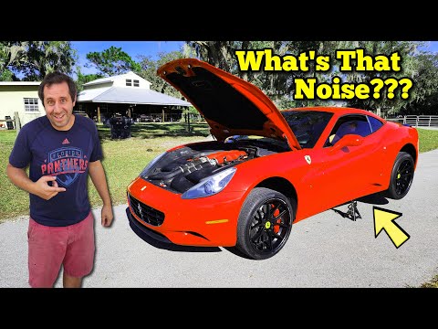 I Bought a Cheap Wholesale Ferrari and it came with a Strange Noise…