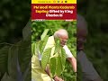 PM Modi Plants Kadamb Sapling Gifted by King Charles III | 7 Lok Kalyan Marg | NewsX
