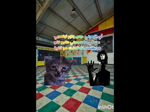 آسفَ علي السحب☺️ #بارت4 من عالم الدريم كور#لايك_اشتراك#مهتم بي هذا المحتوى فولو مي🎀 #cat #غزاة حراة