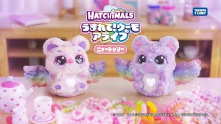 動画サムネイル