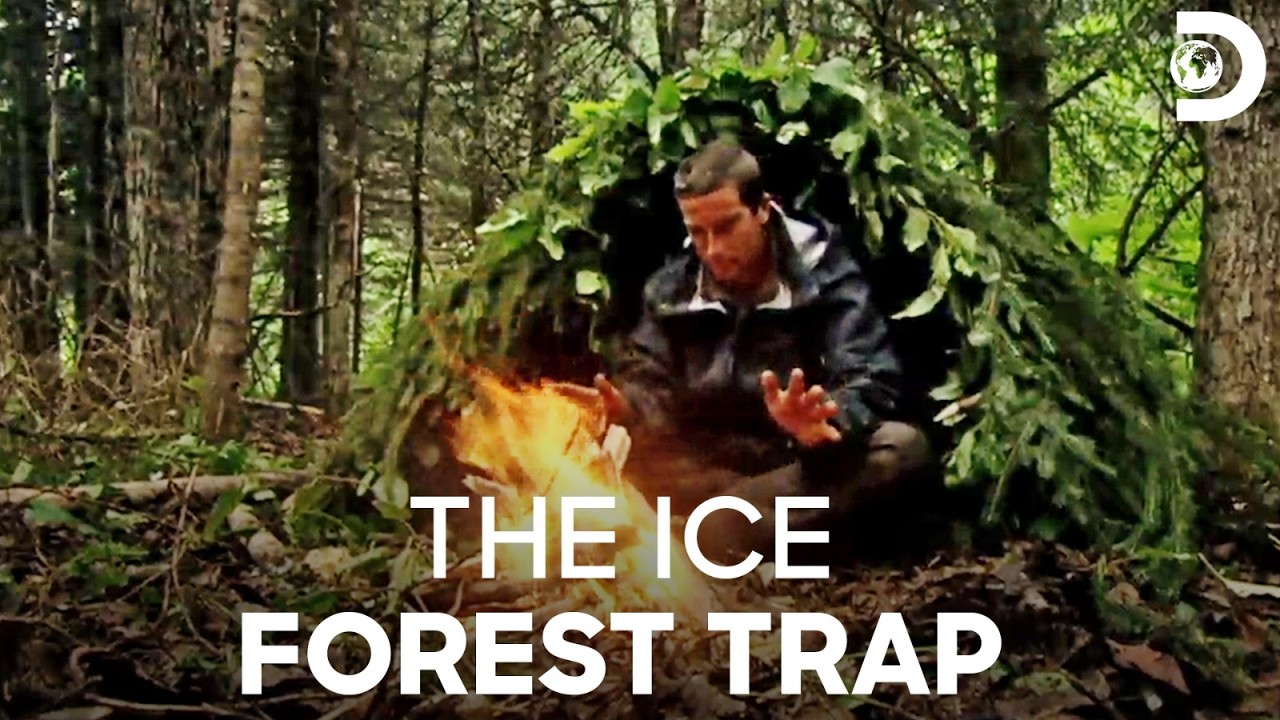 Survival in Alaskan Mountain Range | Man vs. Wild S1 E6 | Discovery Channel India
