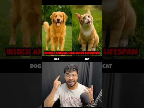 Which Animal Has More Lifespan 🐒