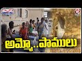 Snake Bite Cases Rise In Jangaon, 80 Members Injured with in 4 Months |  V6 Teenmaar