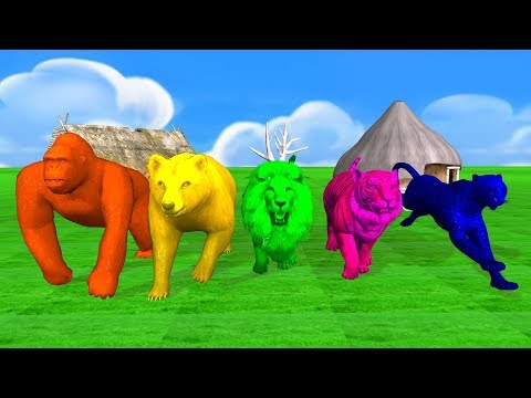 Colors Animals finger family song for kids,Gorilla,Lion,nursery rhymes,Tiger,cheetha,Bear,NASHTOONTv