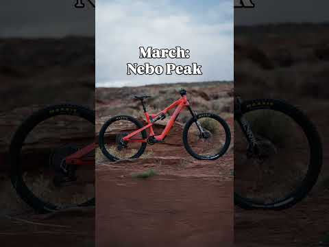 Your Birth Month, Your Bike! Which One Did You Get? 🤔