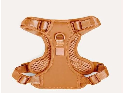 Experience Ultimate Comfort and Style with Our Neoprene Dog Harnesses!