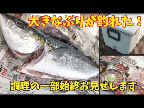 寒ブリを余すことなく調理！！豪華な料理が並びました！！