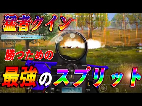 【荒野行動】【大会】スプリットの極意！勝つために必要な立ち回りをして猛者クイン18キルKO！