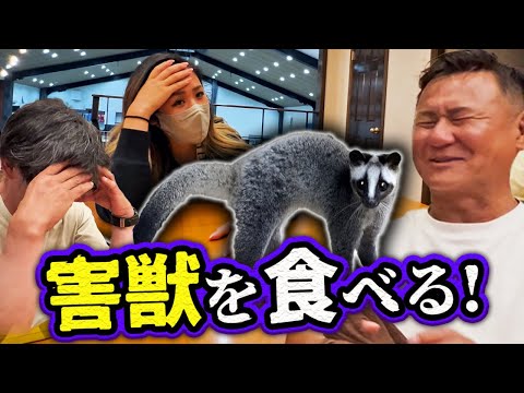これ食べるんですか！？害獣駆除業者に話を聞いたら衝撃でした...。新しいビジネスを始めます！【重大発表】