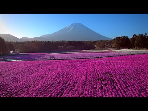 Japan from Above'