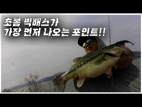 포인트 보는 <strong>법과</strong> 필드 공략법 공개