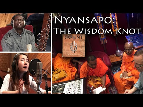 Steven Chesne - NYANSAPO: The Wisdom Knot (from Steven Chesnes Sapient)