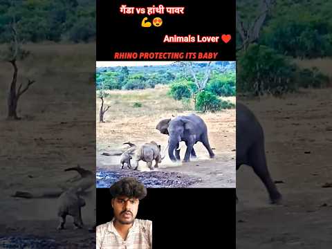 गैंडा vs हांथी💪😍 #elephant #rhino #rhinoceros #attack #fight #jungle #hunter #power #short #shorts