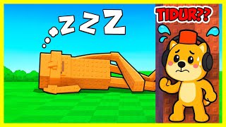 JANGAN SAMPAI TUNG TUNG SAHUR BANGUN DARI TIDUR! - Don't Wake the Brai