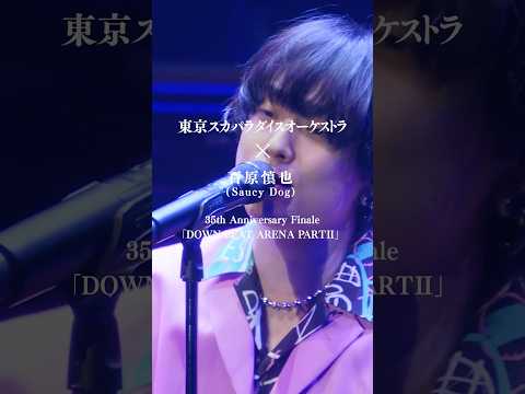 #石原慎也 × #スカパラ 🎵いつか 🎵紋白蝶