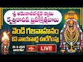 LIVE: అరుణాచలేశ్వర స్వామి కృత్తికాదీప బ్రహ్మోత్సవాలు | Vendigajavahana, 63 Nayanaarla Procession