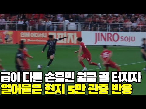 급이 다른 손흥민 월클 골 터지자 난리난 싱가포르 5만 관중! + 국가대표 7골 직캠!