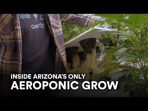Inside Aeriz: The only aeroponic cannabis grow in Arizona