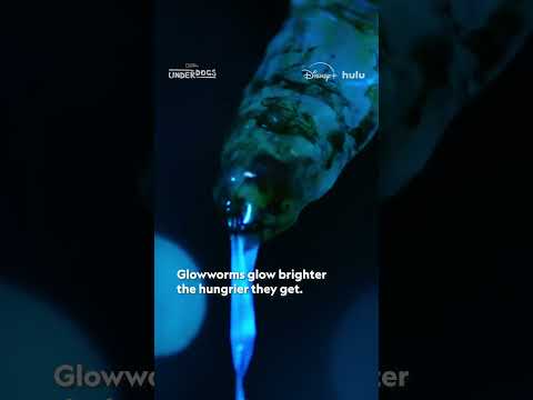 Who knew glowworm goo could be so beautiful?