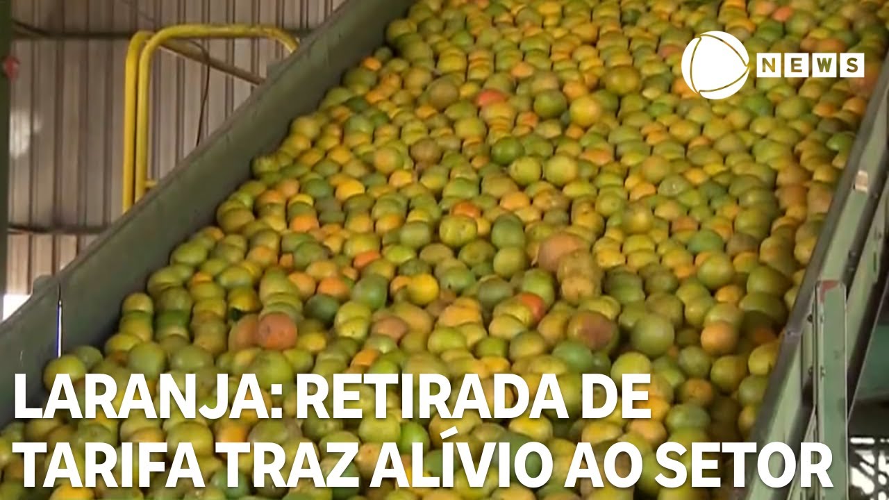Retirada de tarifas da laranja traz alívio para o setor