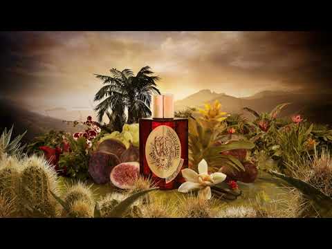 Video 1