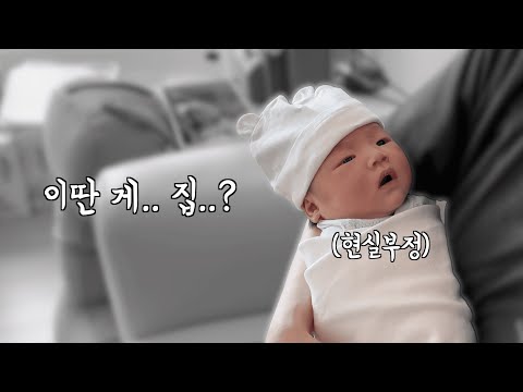 조리원에서는 안 이랬는데요…? 집에 온 뚜기의 분노 ⚡ (개발자 부부 현실 육아 ON)
