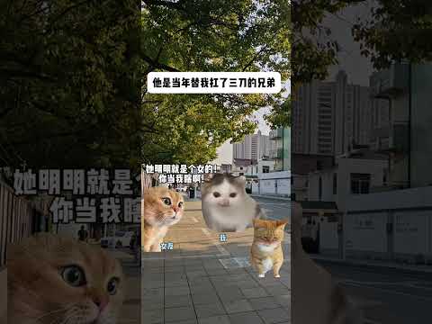 猫の動画サムネイル - 他是当年替我扛了三刀的兄弟 #有趣 #猫meme #猫meme剧场 #猫meme小剧场 #内容过于真实  #故事 #貓 #猫猫meme小剧场 #喵不可言