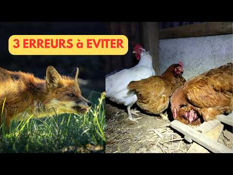 Attaque de RENARD: 3 ERREURS à EVITER