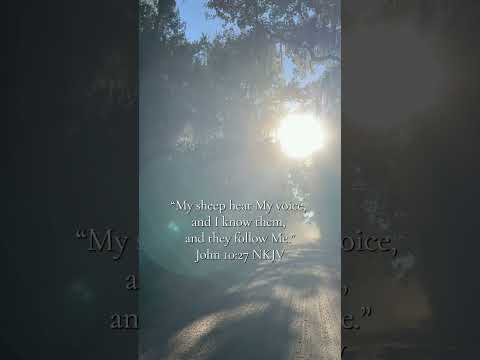 #followJesus #strong #bodyofchrist #bold #truth #love #peace  #leader #gospel #glory #apostolic #fyp