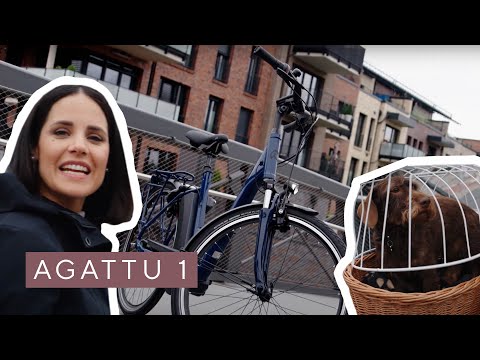 AGATTU 1 ► Das günstige City E-Bike mit dem besonderem Extra an Komfort von KALKHOFF