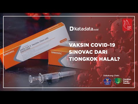 Vaksin Covid-19 Sinovac dari Tiongkok Halal ? | Katadata Indonesia