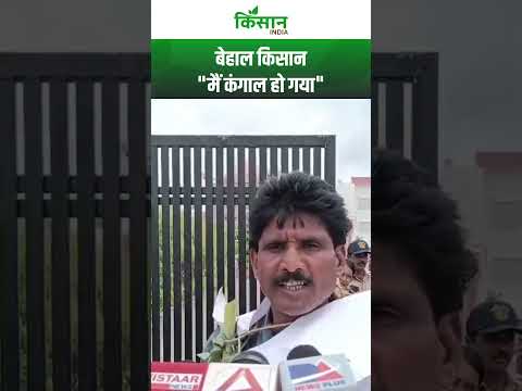 Mandsaur News: भूमाफियाओं ने हड़पी जमीन, कंगाल हुआ किसान, लगा रहा गुहार!। Mandsaur farmer protes