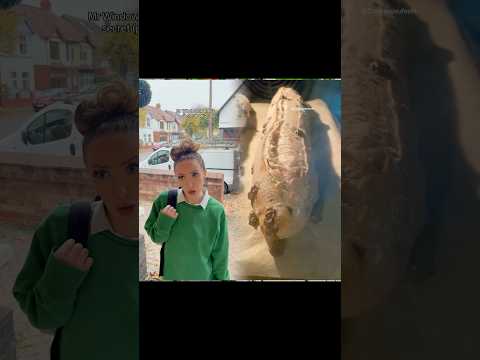 Pt5 Mr windowcleaner’s secret #pov #foryou OG:sherenelouise