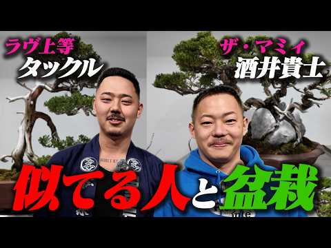 似てる人に会いに行ったら、盆栽を始めることになりました