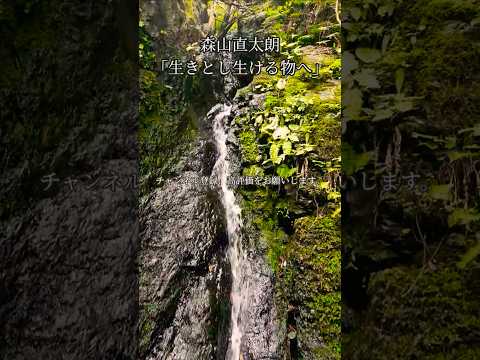 滝頭公園の不動の滝を見てます。水は少ないけど綺麗です。この動画に合わせて森山直太朗さんの生きとし生ける物へを聴いてください。#森山直太朗 #生きとし生ける物へ#滝頭の滝#滝 #滝頭公園 #風景