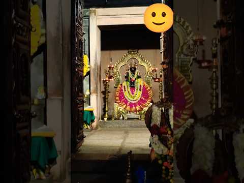 Nagalapuram sunkulamma ammavaru #nagalapuram #sunkulamma #ammavaru  #dharshanam #minivlog #reels