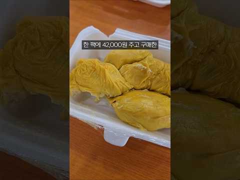 버스에 못 가지고 타는 <strong>과일</strong>