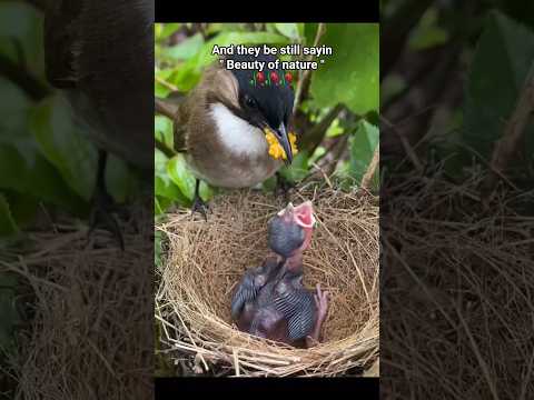 subscribe for more #reality